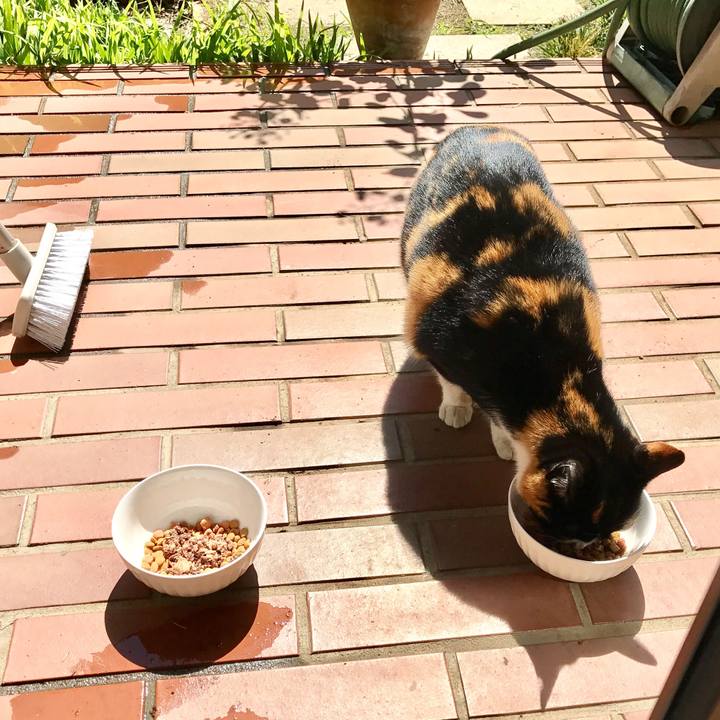 9aa2e048 7362 41d7 9072 46ed4045ce3d