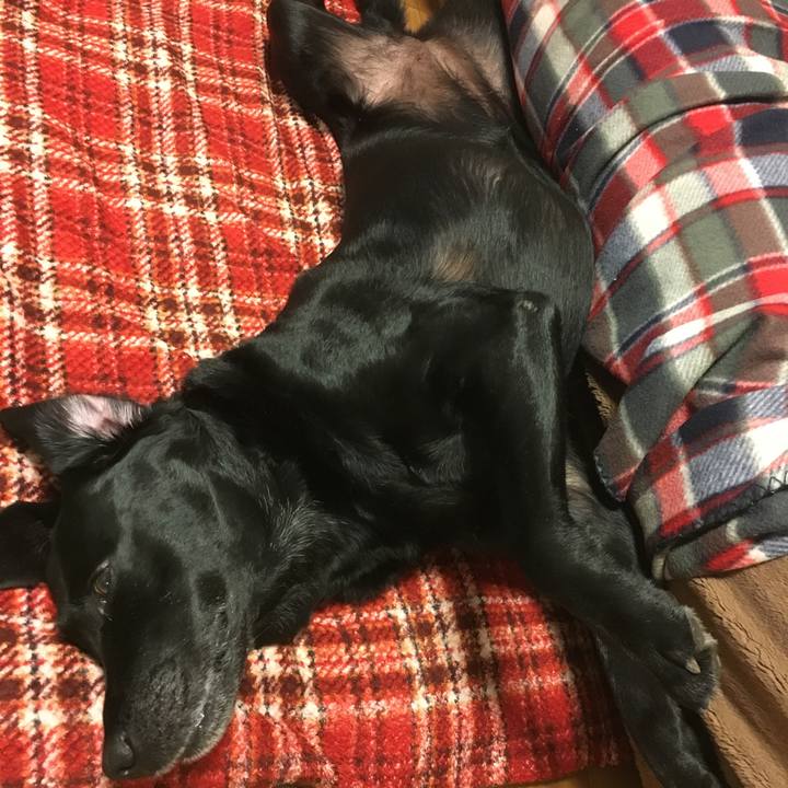 9aa2fbfd 7f5f 40b0 bf18 b66a253349db