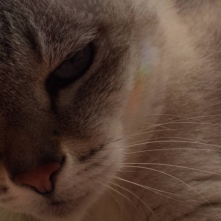 9aa538da 315f 4d10 b0ba 7e1ff6ecc2aa