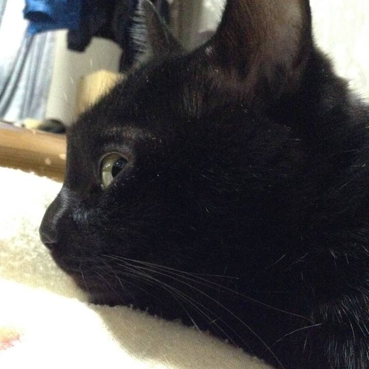 9aa5d440 7884 44d7 8381 051728947a36