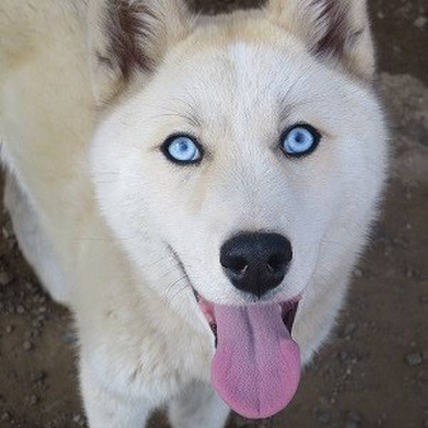 9aa5e343 8615 4be8 9d92 2b0755bb8afa