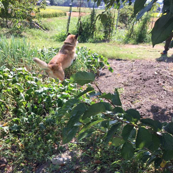 9aa63dd7 7978 415d a007 978e03e72824