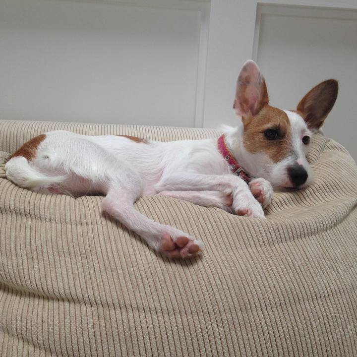 9aa6520b 34c6 4eaf bc50 729bbd282cf3