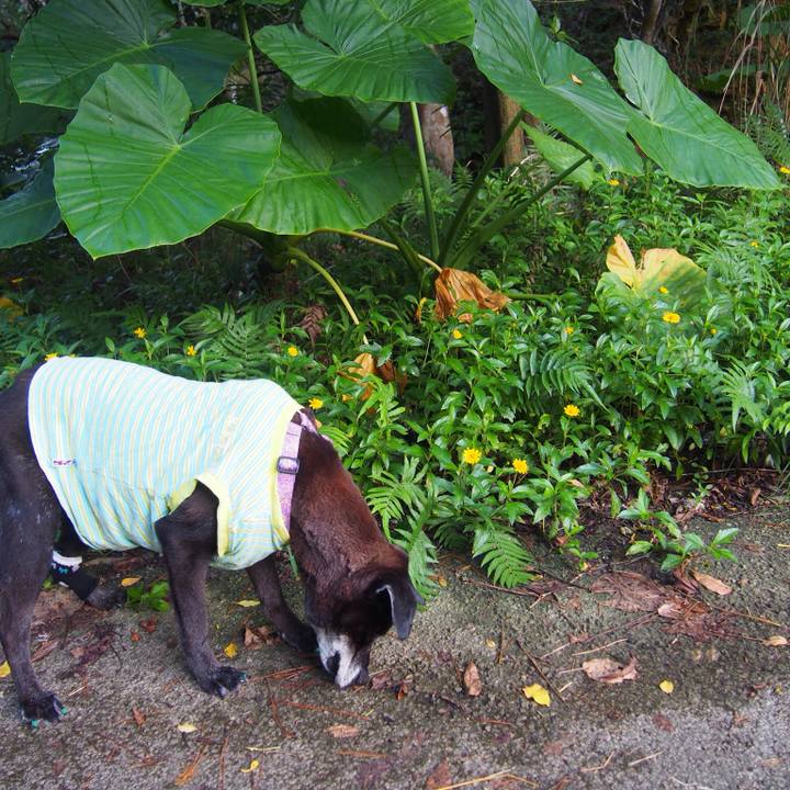 9aa69b32 4348 4125 b53b 384388f12257