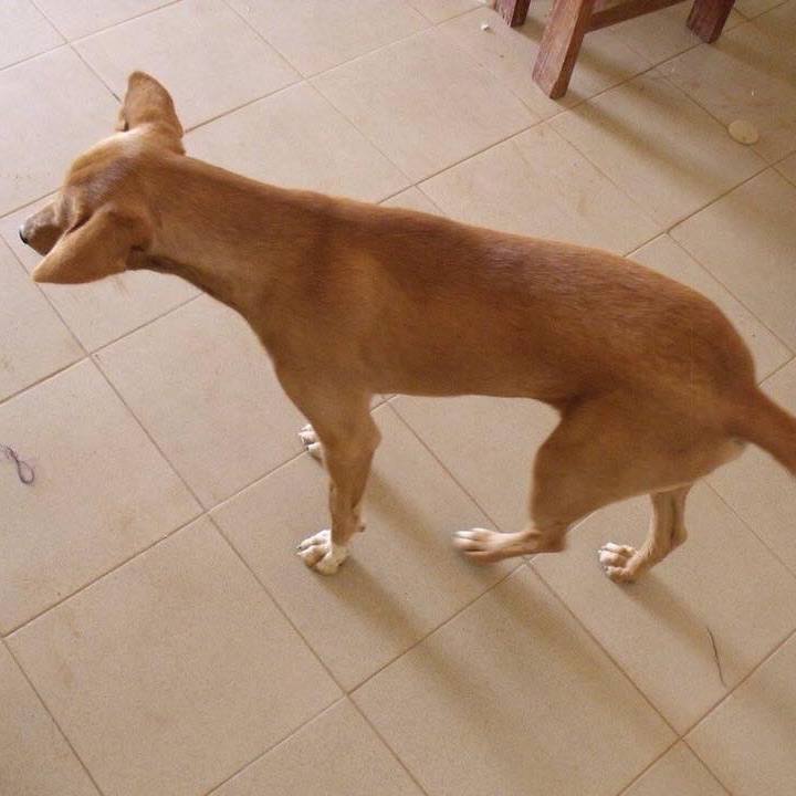 9aa69f6e 6eaa 46a4 9950 14633ae9ab01