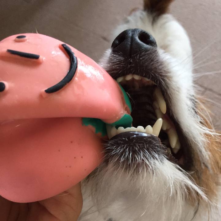 9aa781b1 2680 4210 9c60 c4fe785e9dac