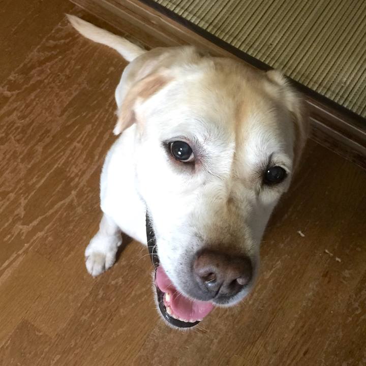 9aa79743 86d9 4b11 b44a a1bb66778db7