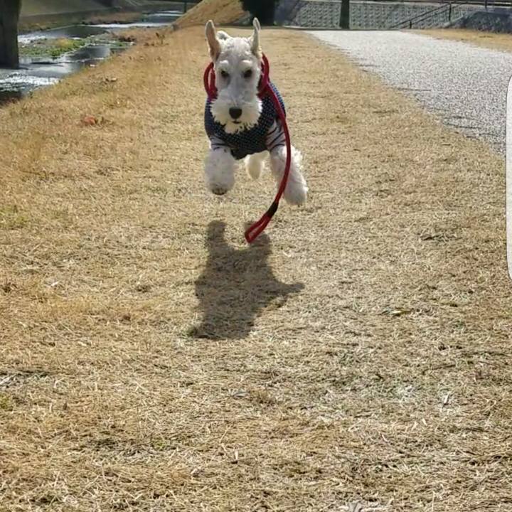 9aa81e4c a046 4ecc 9824 0b06bc064578