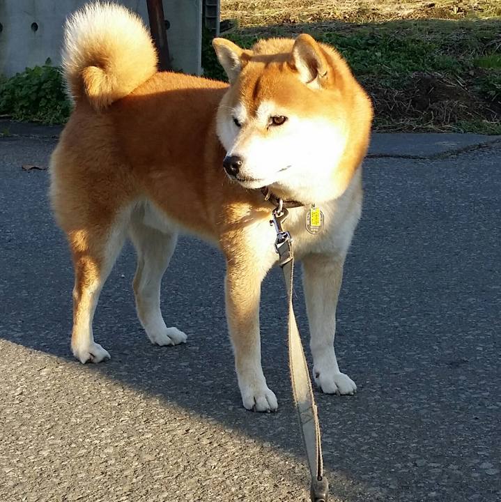 9aa93558 fda3 487d 87cf 5dbad4c179d8