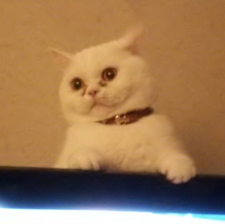 9aab83f7 8125 4576 b38a ebc84758eab5