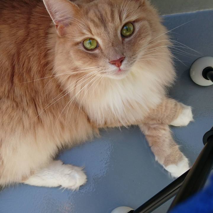 9aabc698 11d5 452a 9f4d d503c74df64f