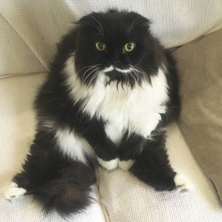 9aabdf6e 65e1 4391 9520 847c13feee52