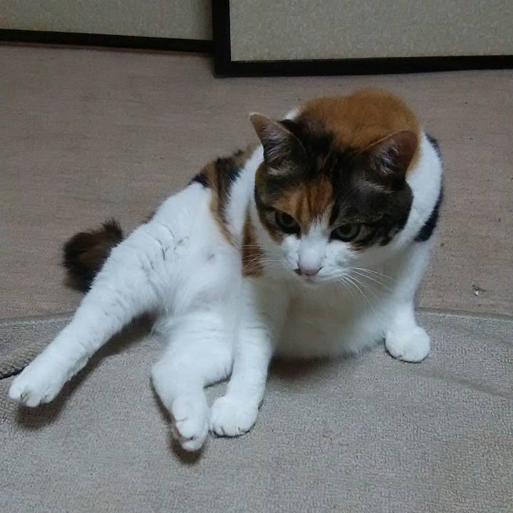 9aabff6a d675 455f 8ad2 e3473105c14d