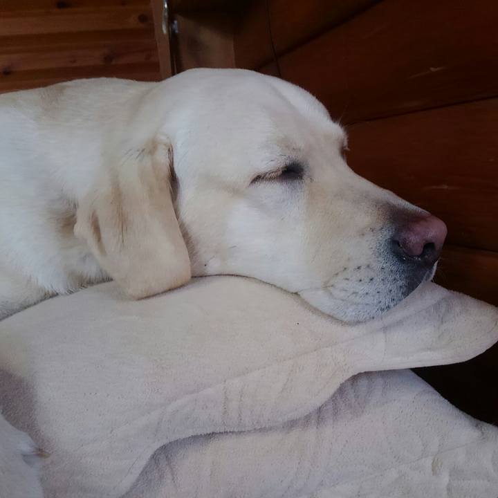 9aac2e4d 544a 4930 a540 85c62322ce52