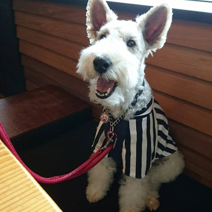 9aacd29f 5fe4 4c9a ac65 f5eb299e6f0f