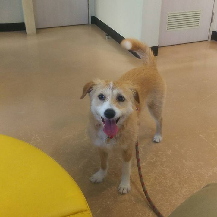 9aacf841 fd06 47ec 9322 f67e3e63a4dc