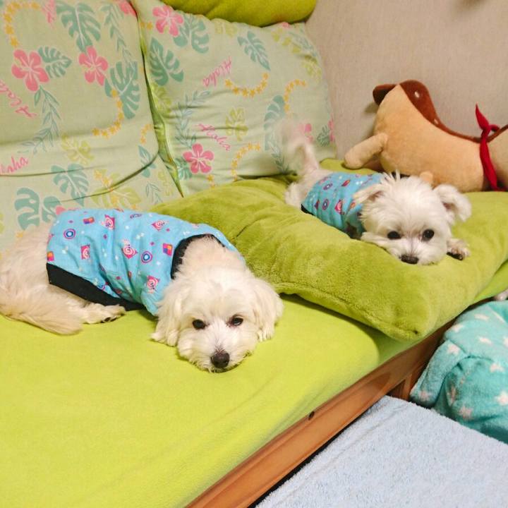 9aae9b8d 746d 4857 913d 296d86350cb0