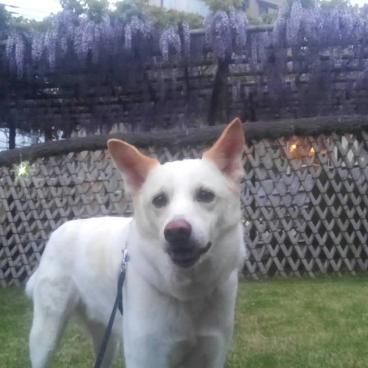 9aae9ebb ab82 4921 bfc1 491563bbacc2