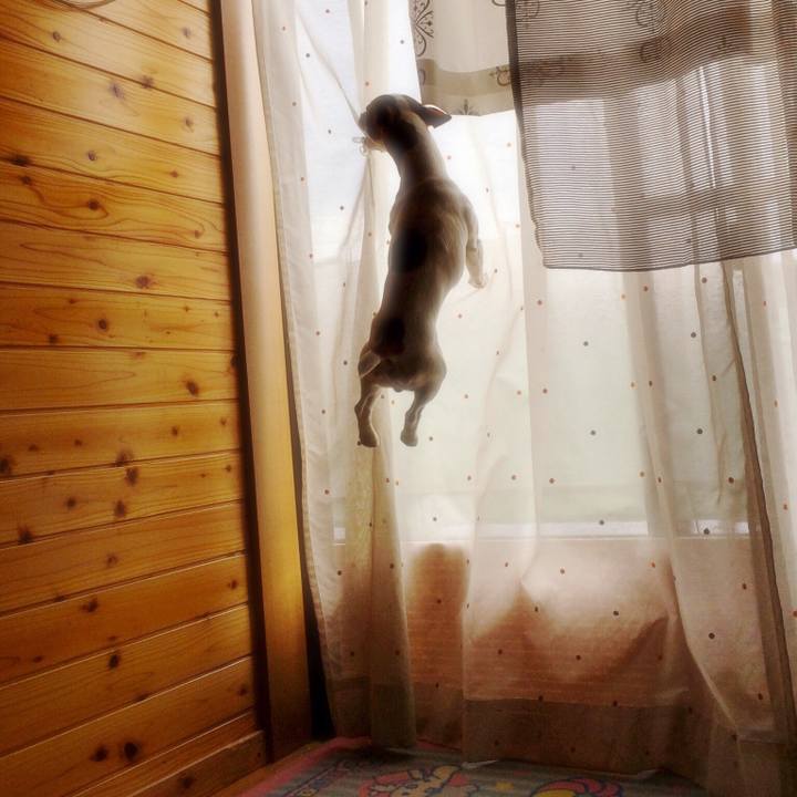 9aaf10dc 6e6c 448d 9794 cf573c703357