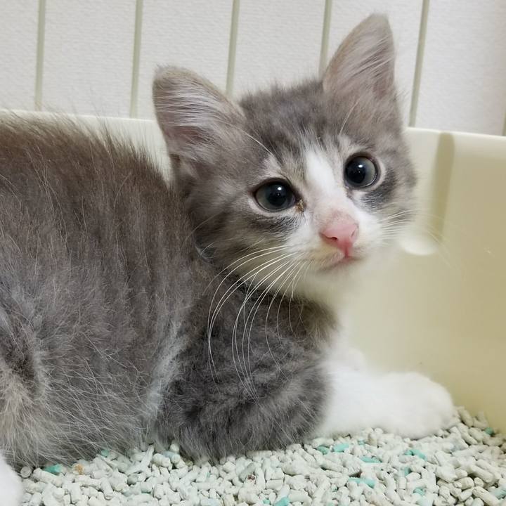 9aaf4bc4 05f6 4ffa be83 56d78a845934