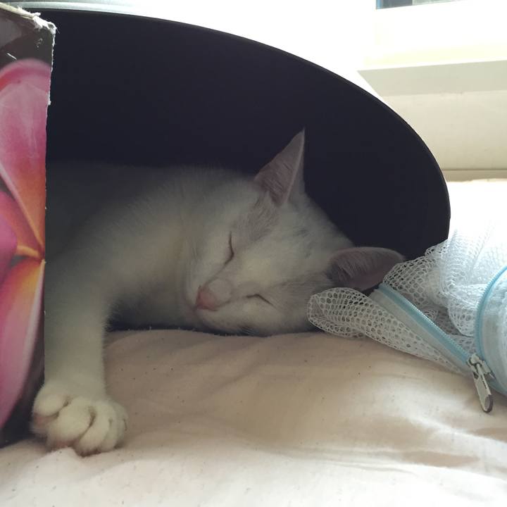 9ab05240 d8f8 445b a926 11f7973476a8