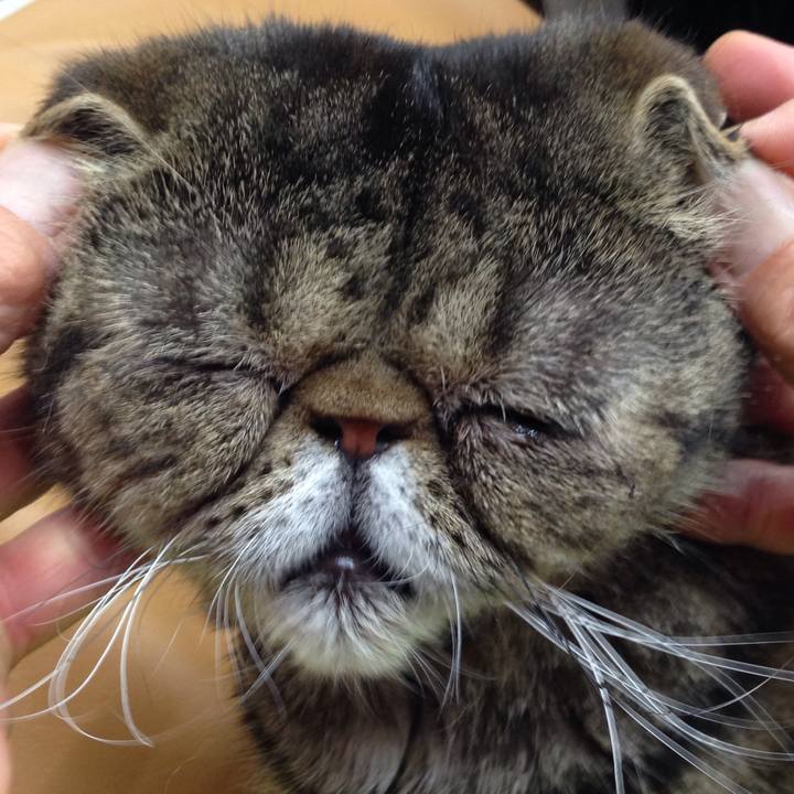 9ab05311 3467 469c a8e9 5dcfd7b5da54