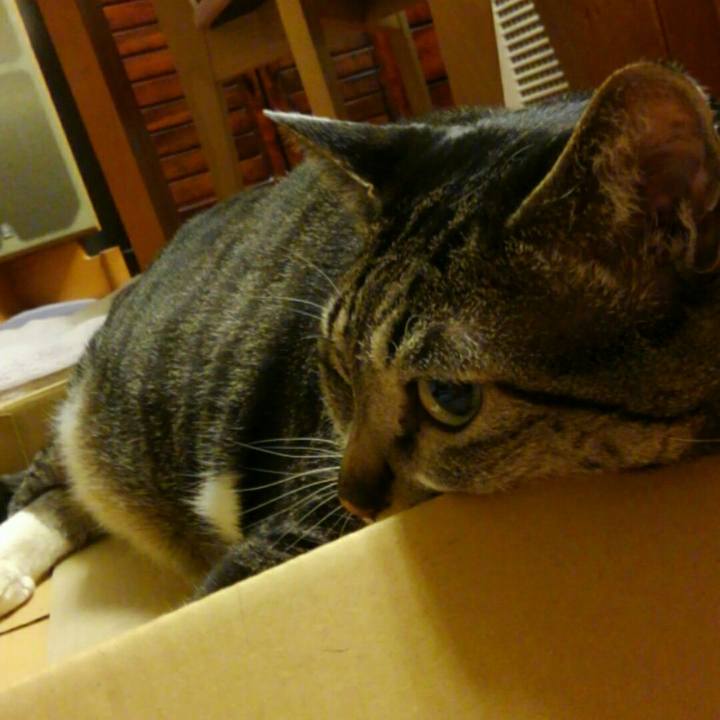 9ab084a8 5381 4e27 93c5 2e9d1e8151cd