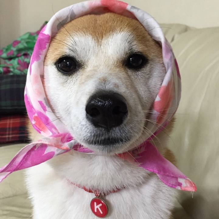 9ab09c98 f940 400d 9a67 b0726f9911fc