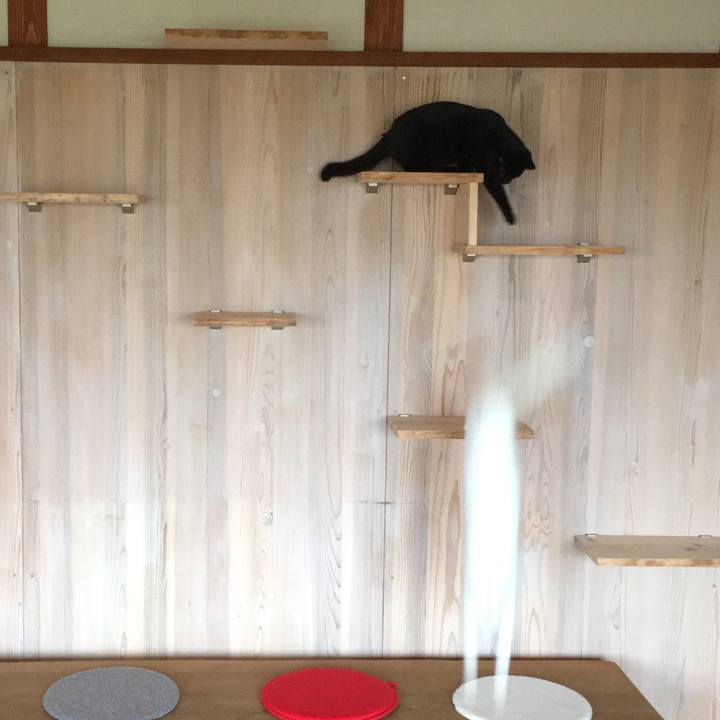 9ab146a6 fd90 46ab 9ce5 3b0e12d197a7