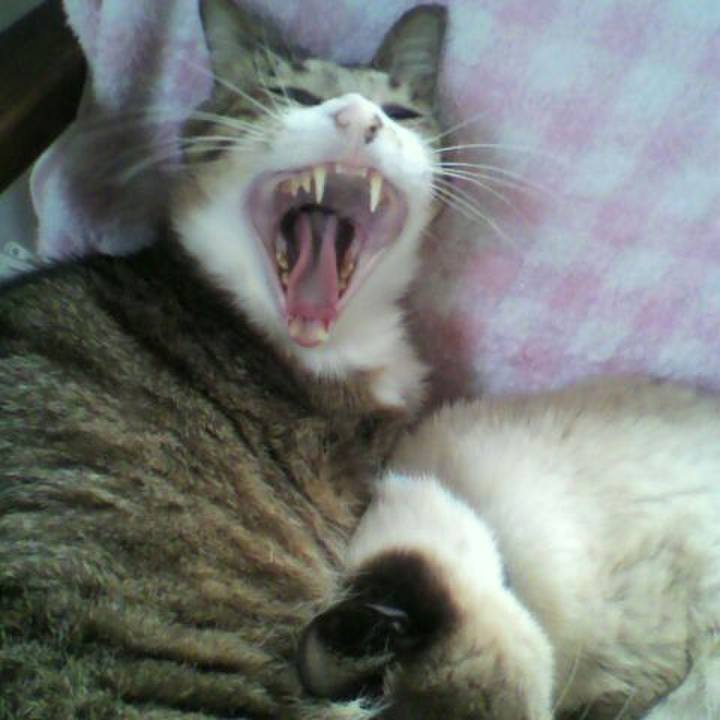 9ab1ead3 b455 4a48 aae3 07e2bdd458ea