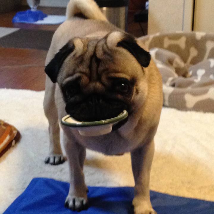 9ab24d0c 28ba 4be2 acf0 709d22784985