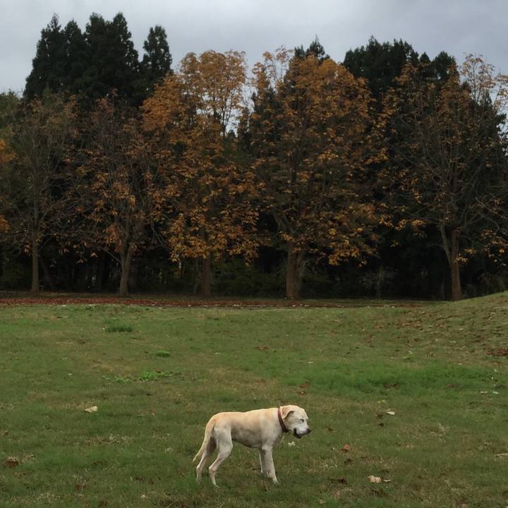 9ab2b1ae 888c 4561 acf7 afbb198f9249