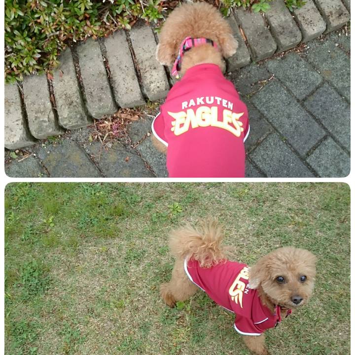 9ab2b875 ef18 4aa1 8420 43b17bdf7f71