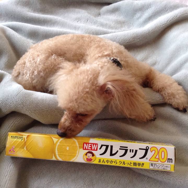 9ab321a9 cc26 42f4 87ec 890e8bae8faf