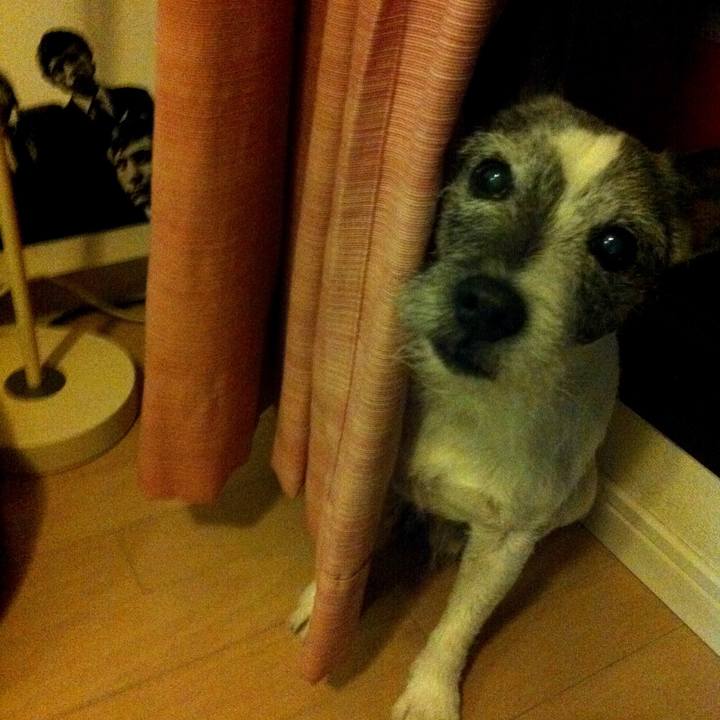 9ab34f8f 41d4 41fb 876e a816d7f2107d