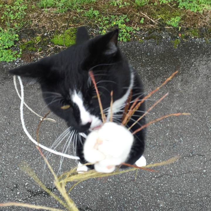 9ab356d2 5691 4619 878c 7c41a91b916a