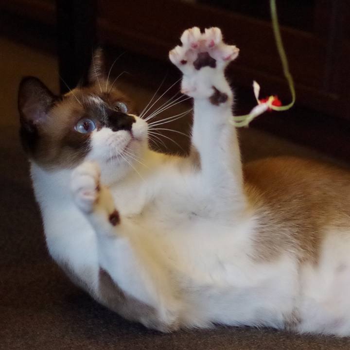 9ab3587a cd1c 4769 88cc af008862141b