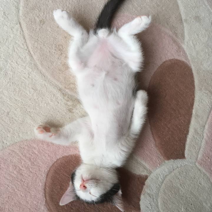 9ab36dd3 bb38 4cf0 ac7a 15317ae57e4b