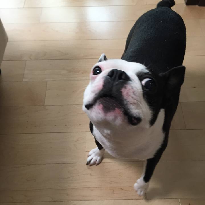 9ab38592 1d3d 407c b82e 4c674ae97bf1