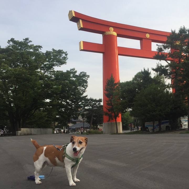 9ab457d3 8a04 449f 85cd 2371d8268701