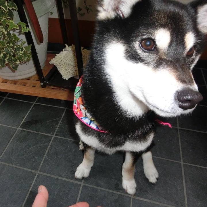 9ab4f63d 5b09 499d afbd 94959bc449cc