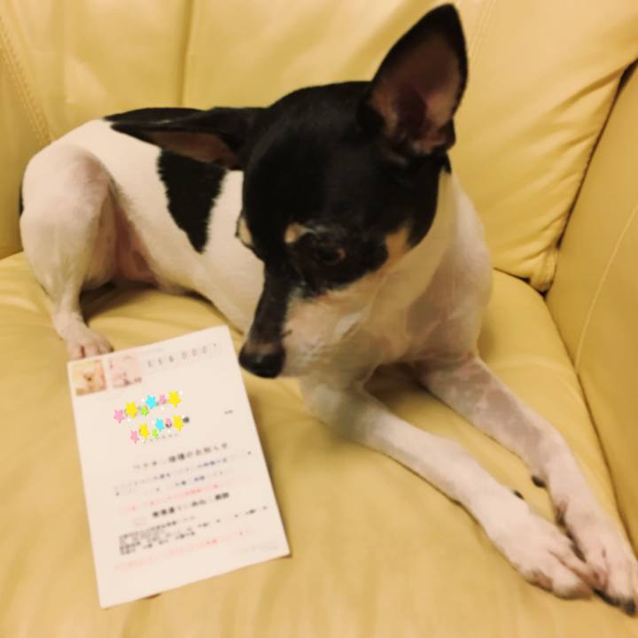 9ab5d8b8 496f 4c66 8ce1 acaea9d33026