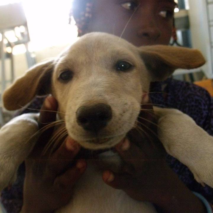 9ab6107f c91c 475a ad0d 10a691ec402d