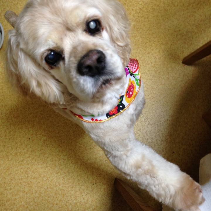 9ab673f6 6482 41c1 9604 e39b3dbb6a3c