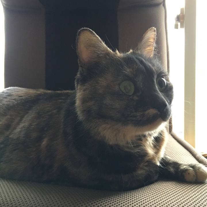 9ab6c70d 7995 4b64 98fe 86c19828c9a2