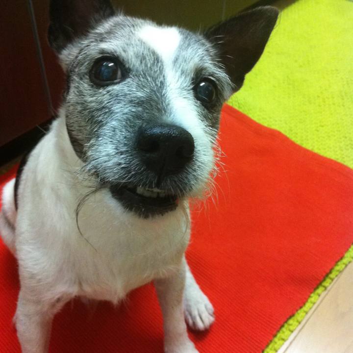 9ab6c94a c5fd 4f5d b10a 32e24de5626e