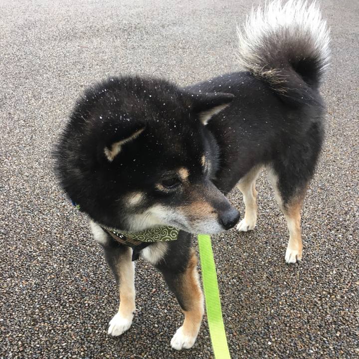 9ab70a30 daf8 45c9 965f d83d83c08888