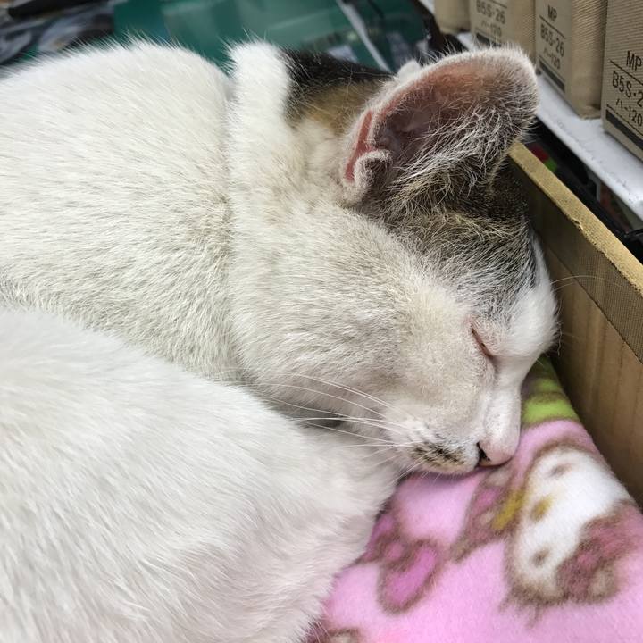 9ab749d1 332f 4b8a a878 ebb8ea4ea3a4