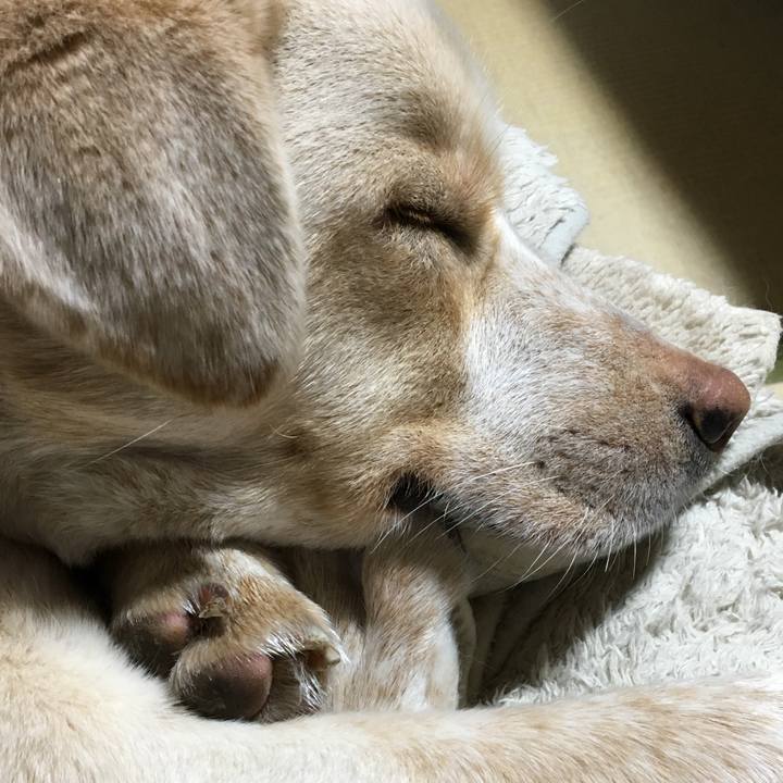 9ab7b0d0 df3b 42b0 90fe 667e4dc2d398