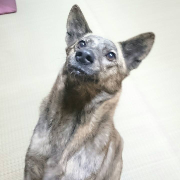 9ab7f6e0 77c2 445f a76b ca6b025e9130